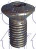 RENAU 7703005065 Screw